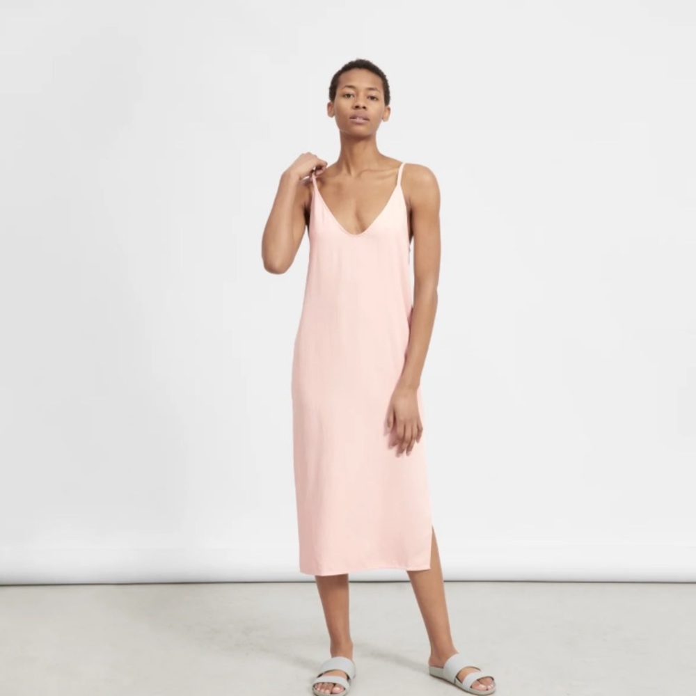 Everlane Japanese GoWeave Slip Dress